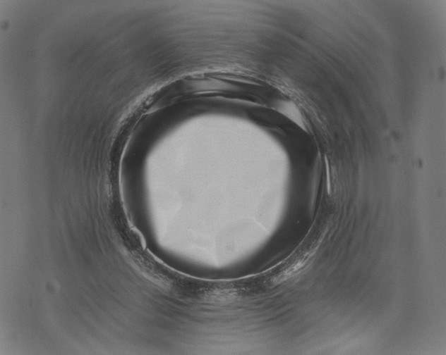 X0000071780252200607211604