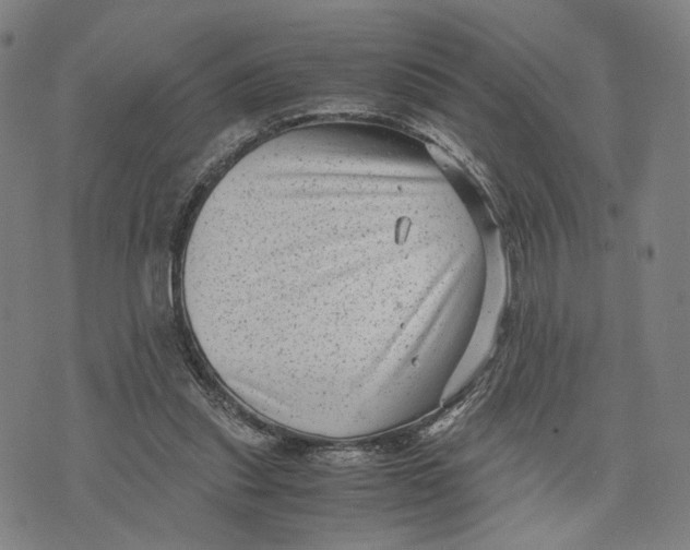 X0000071780253200607211604