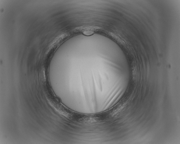 X0000071780254200607211604