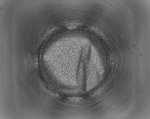 X0000071780255200607211604