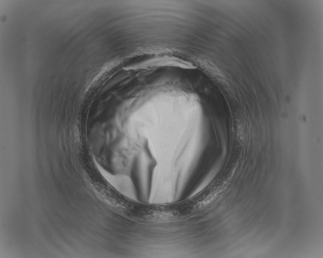 X0000071780256200607211604