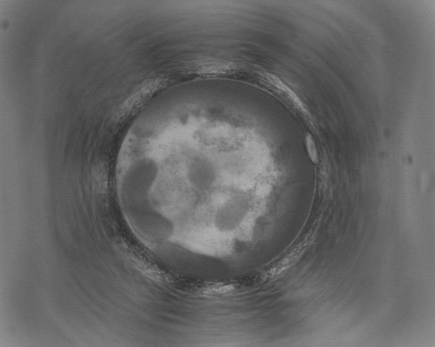 X0000071780257200607211604