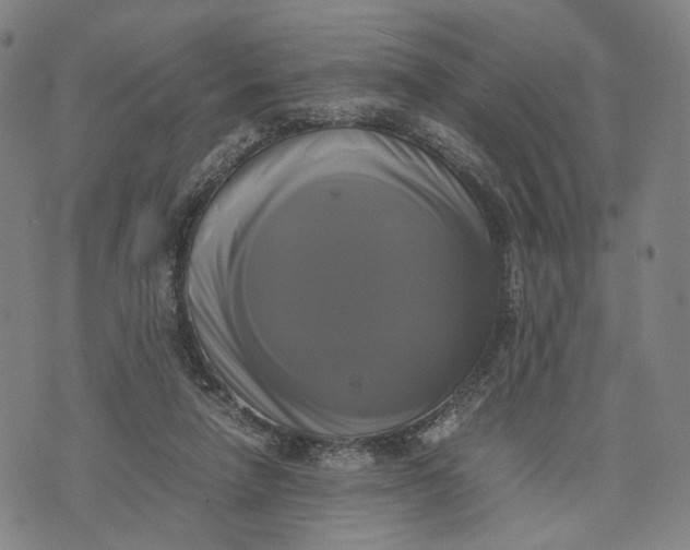 X0000071780258200607211604