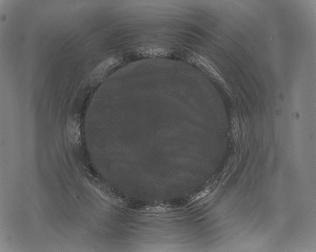 X0000071780259200607211604