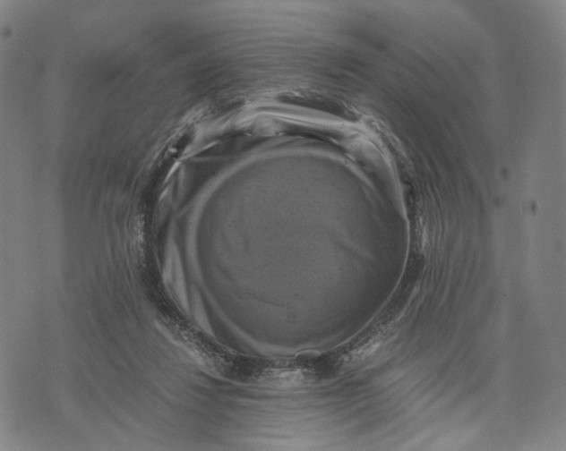 X0000071780260200607211604