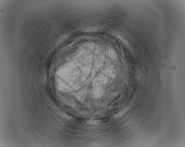 X0000071780261200607211604