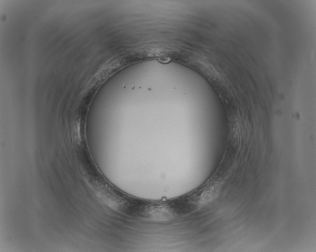 X0000071780262200607211604