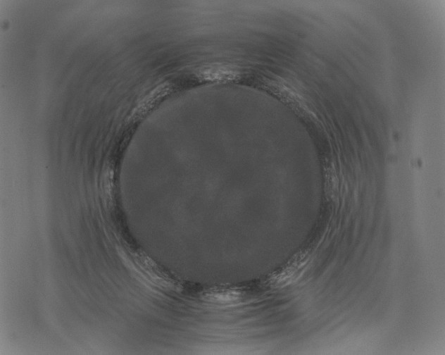 X0000071780263200607211604