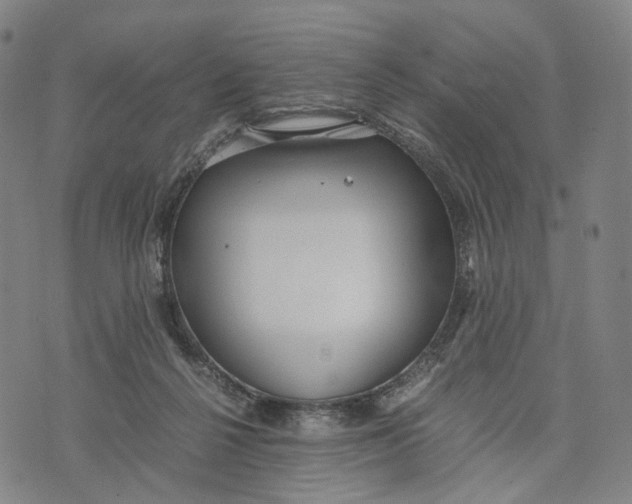 X0000071780264200607211604