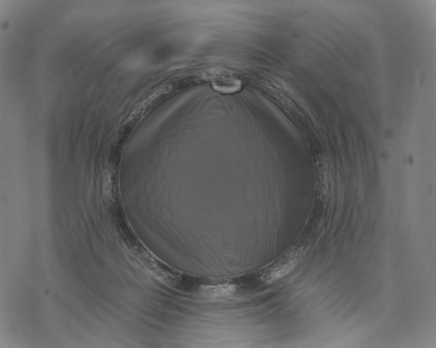 X0000071780266200607211604