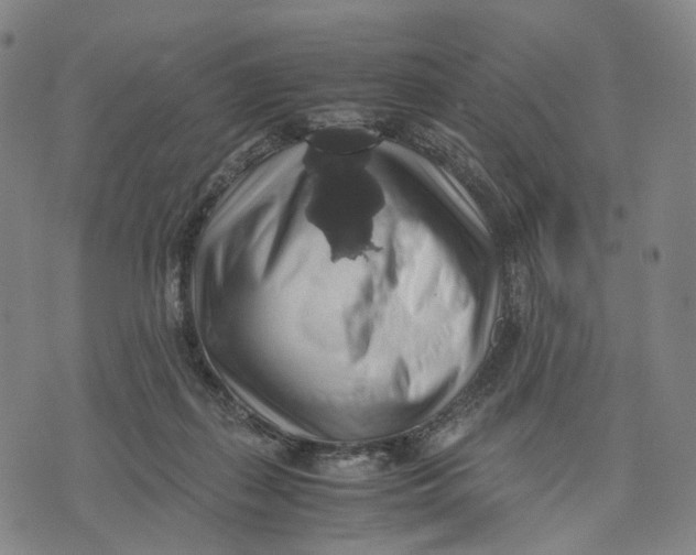 X0000071780267200607211604