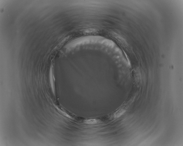 X0000071780269200607211604