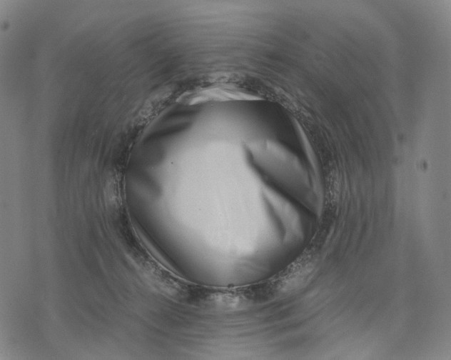 X0000071780272200607211604