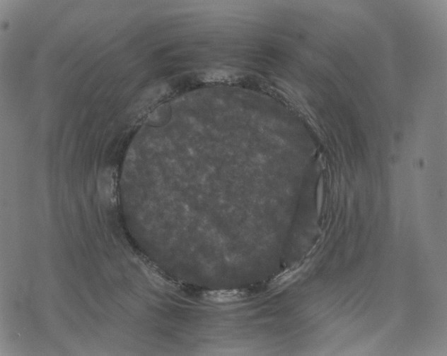 X0000071780273200607211604