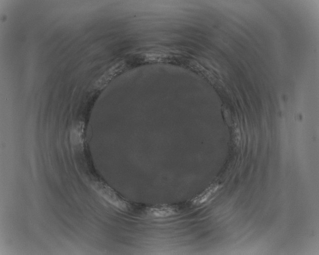 X0000071780275200607211604