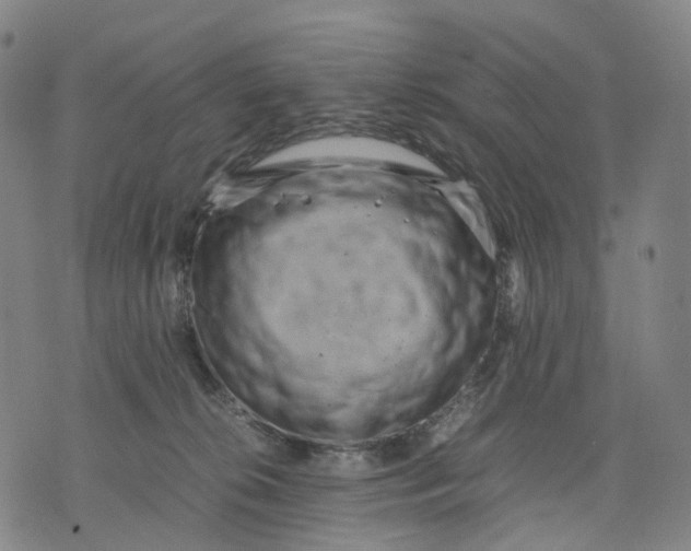 X0000071780276200607211604