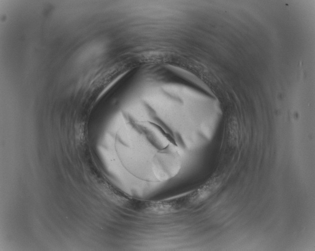 X0000071780278200607211604