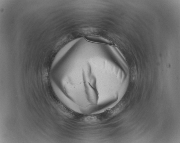 X0000071780279200607211604