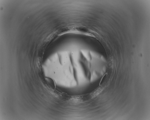 X0000071780280200607211604