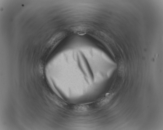 X0000071780282200607211604