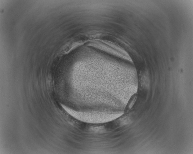 X0000071780283200607211604