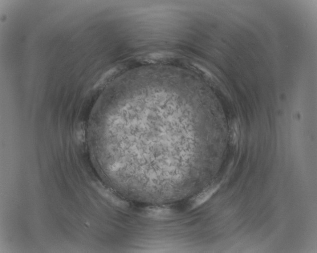 X0000071780284200607211604