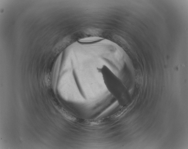 X0000071780285200607211604