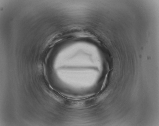 X0000071780288200607211605