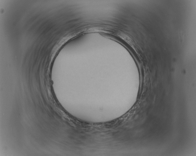 X0000071780289200607211604