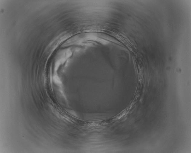 X0000071780290200607211604