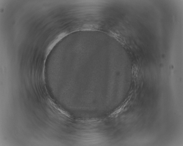 X0000071780292200607211604