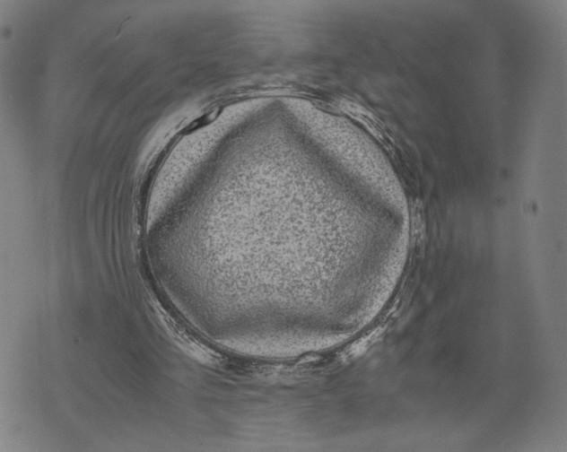 X0000071780293200607211604