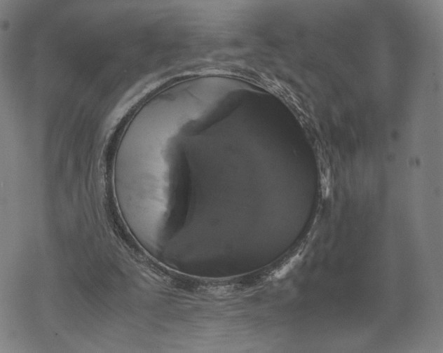 X0000071780295200607211604