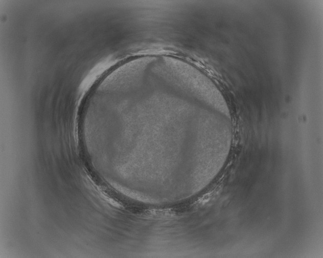 X0000071780296200607211604