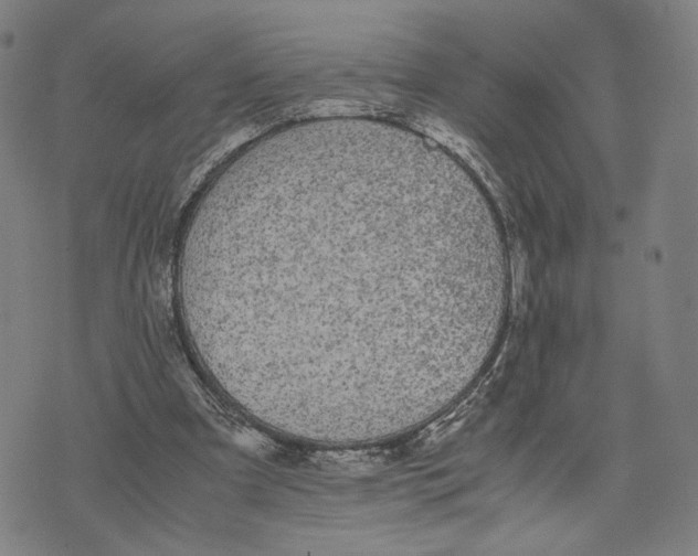 X0000071780297200607211604