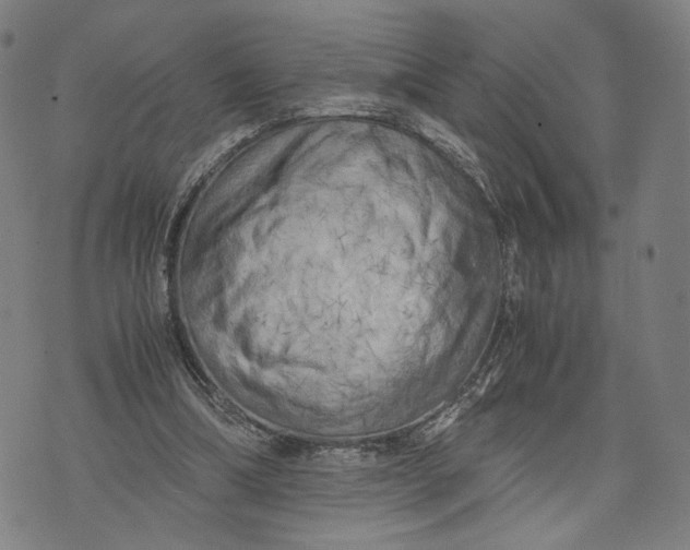 X0000071780298200607211604