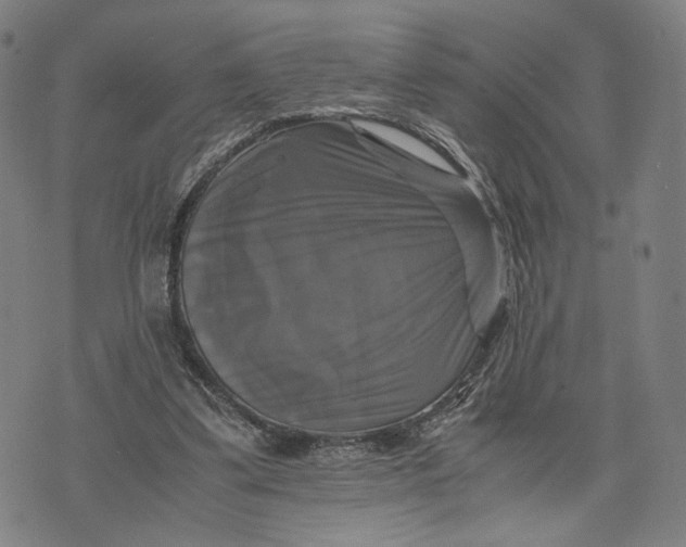 X0000071780299200607211604