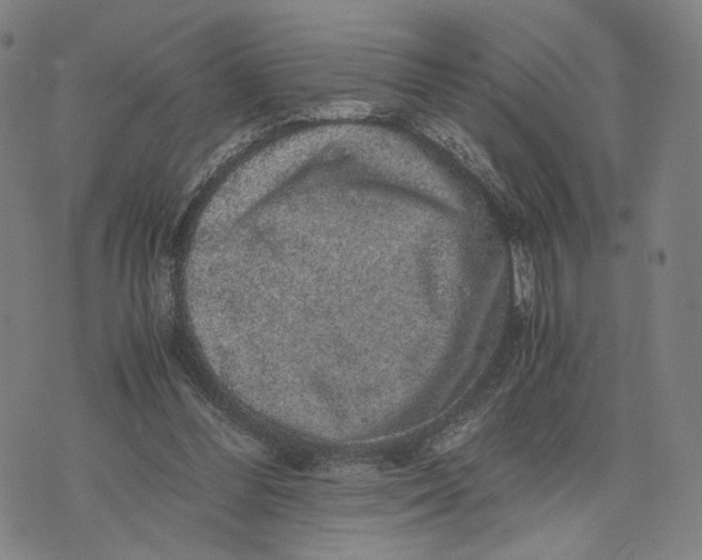 X0000071780300200607211604