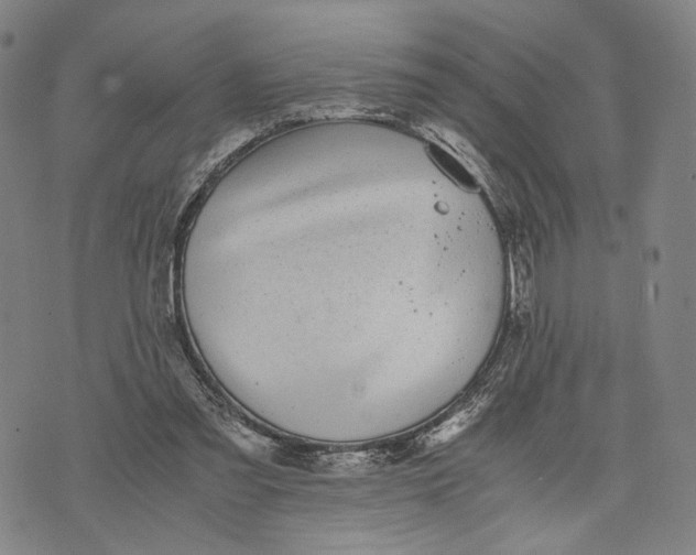 X0000071780301200607211604