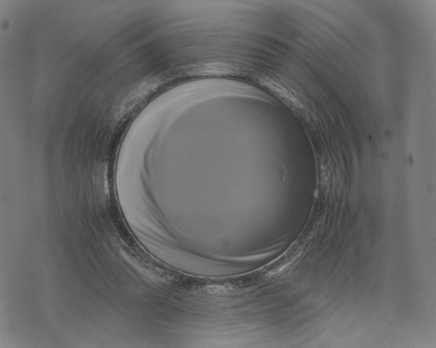 X0000071780302200607211604