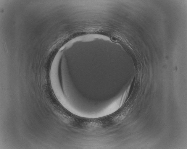 X0000071780303200607211604