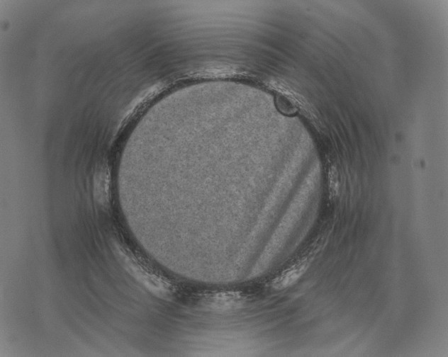 X0000071780304200607211604