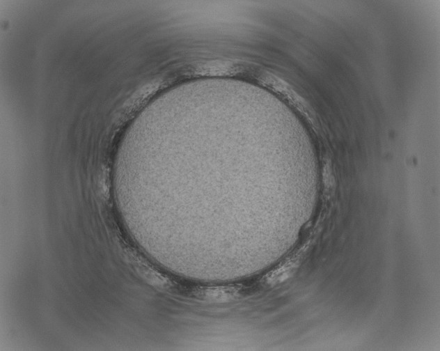 X0000071780305200607211603