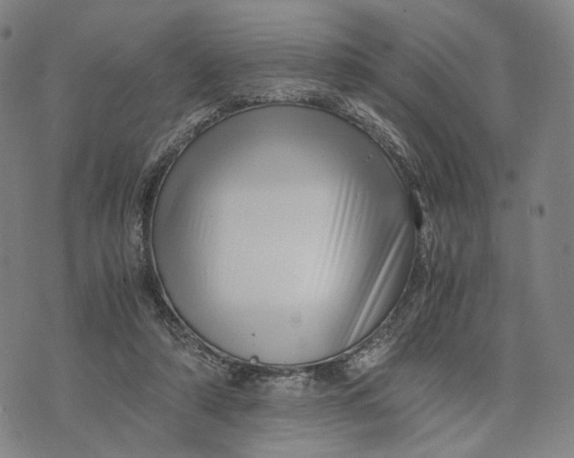 X0000071780306200607211603