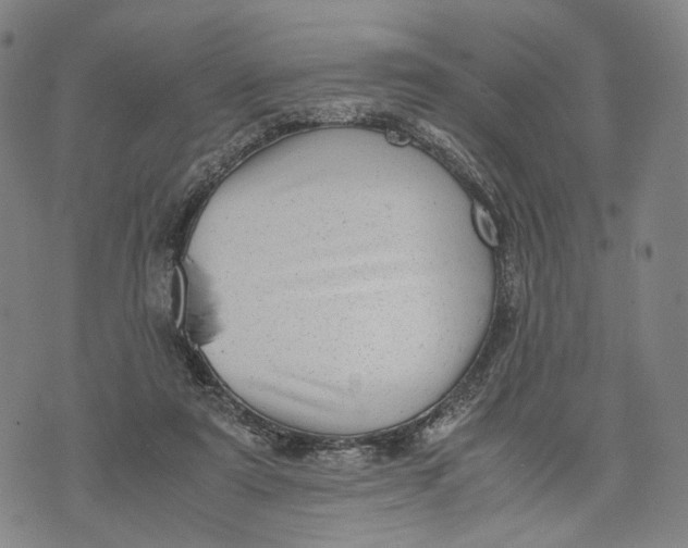 X0000071780307200607211603