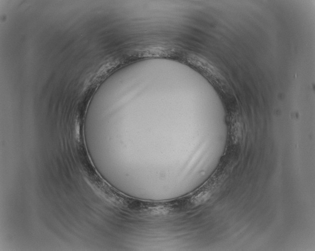 X0000071780310200607211603