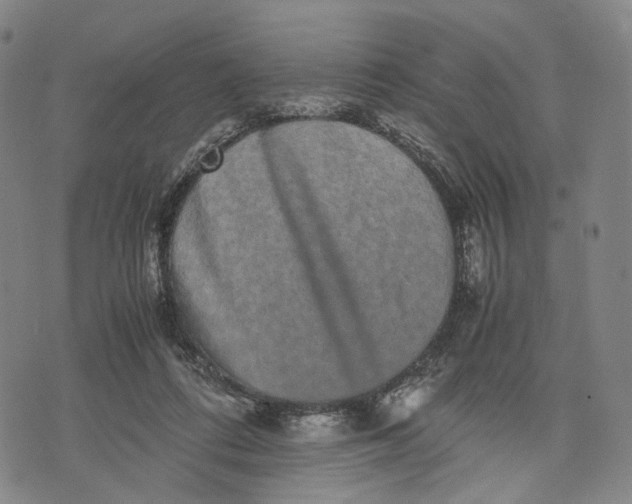 X0000071780312200607211603