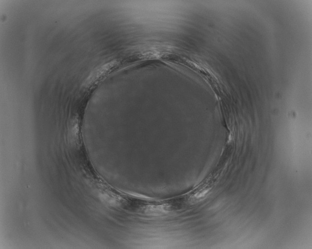 X0000071780314200607211603