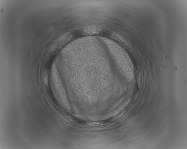 X0000071780315200607211603