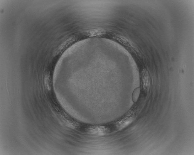 X0000071780316200607211603